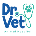 Doctor vet best vet hospitals in abu dhabi