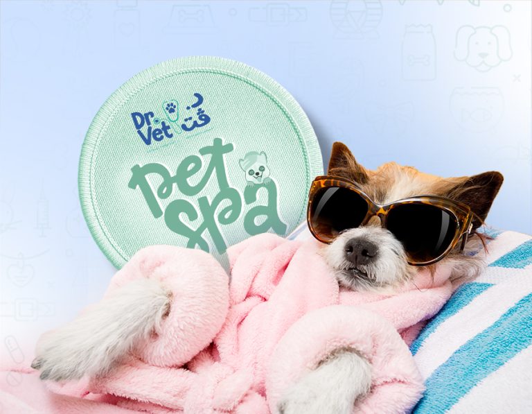 WHY PET PARENTS CHOOSE DR. VET PET SPA EXPERIENCE