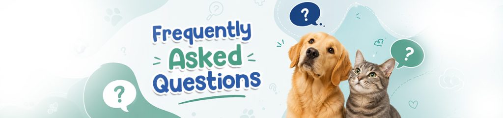 Frequently Asked Questions